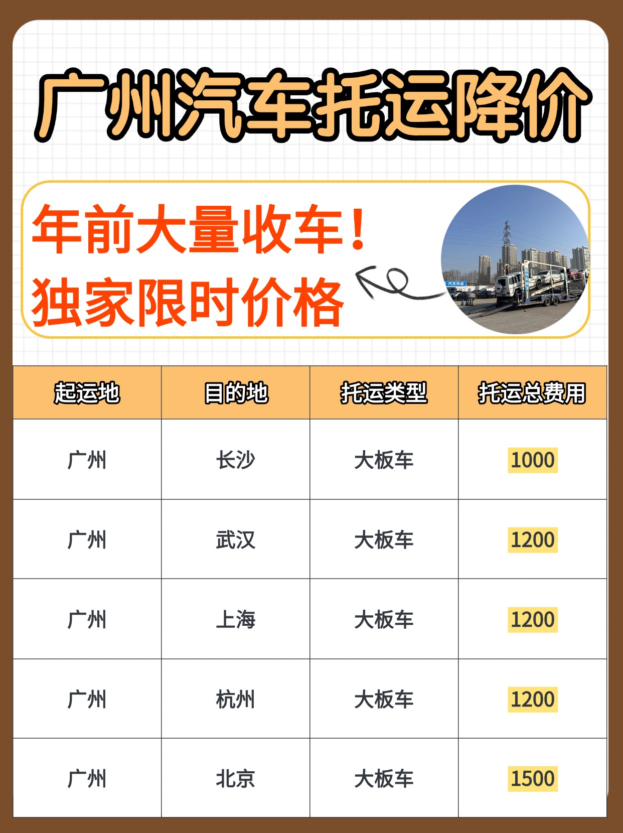 豹猫科普小红书封面